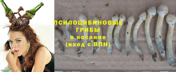 гидропоника Карпинск