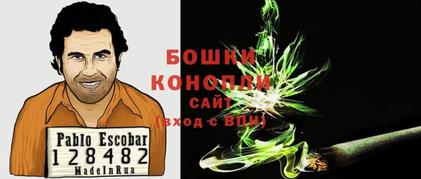 гидропоника Карпинск
