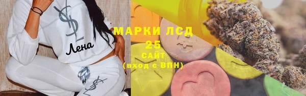 спайс Касимов
