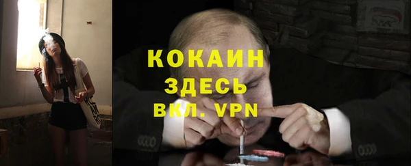 спайс Касимов