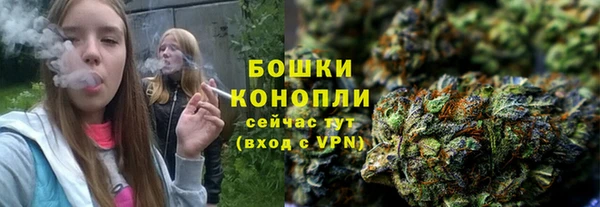 спайс Касимов