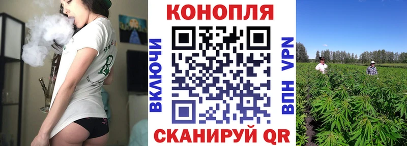 Бошки марихуана VHQ  hydra ССЫЛКА  Абакан  купить  сайты 